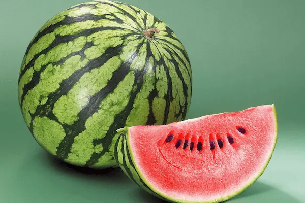 تصویر 5 از قیمت خرید هندوانه وینستون عمده + فروش ویژه